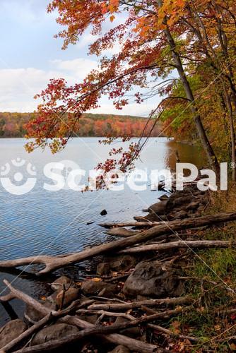 New England Fall Foliage